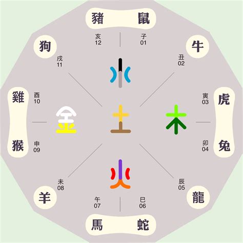 宏五行屬性|宏字的五行是什么,宏的五行属性及吉利寓意